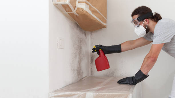 Professional Black Mold Remediation technician working in Fairfield, TX