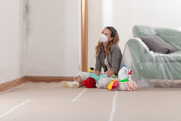 Reliable Black Mold Remediation contractor in Fairfield, TX by 24 Hour Mold Removal